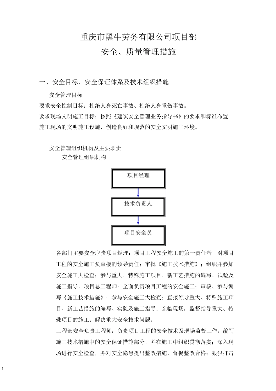 安全质量管理体系1_第1页