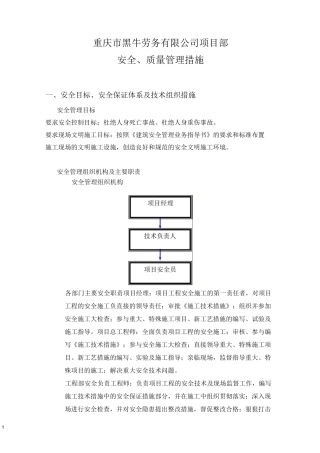 安全质量管理体系1