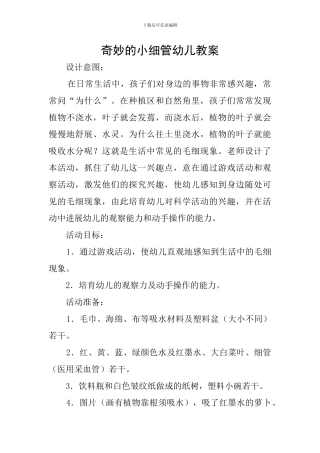 神奇的小细管幼儿教案