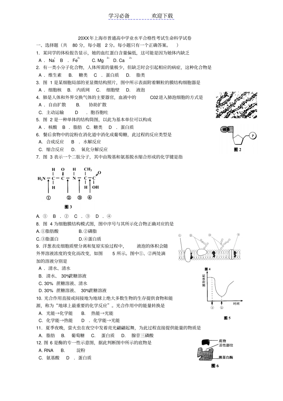 上海普通高中学业水平考试生物试题_第1页