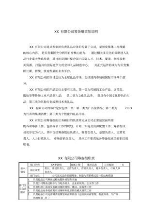 上海有限公司筹备组策划说明