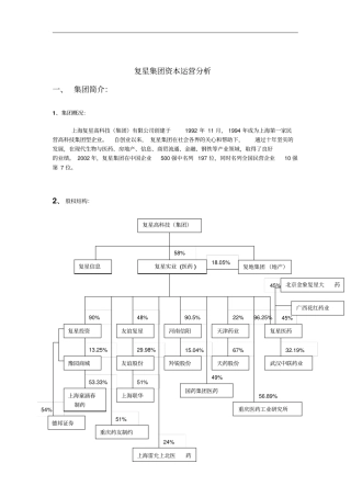 上海某高科技有限公司资本运营分析