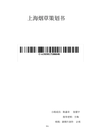 上海烟草策划书