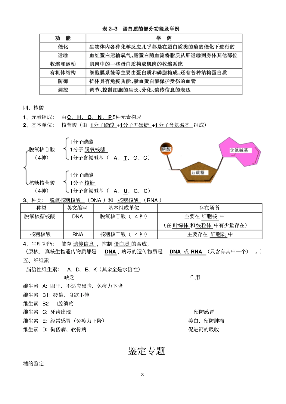 上海生物知识点整理第一册-打印版汇总_第3页