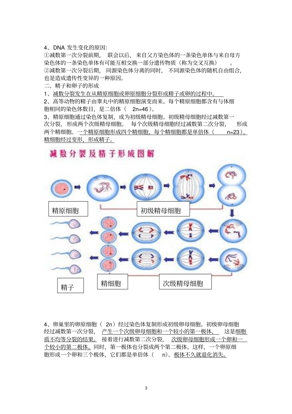 上海高中生物知识梳理汇总_第3页