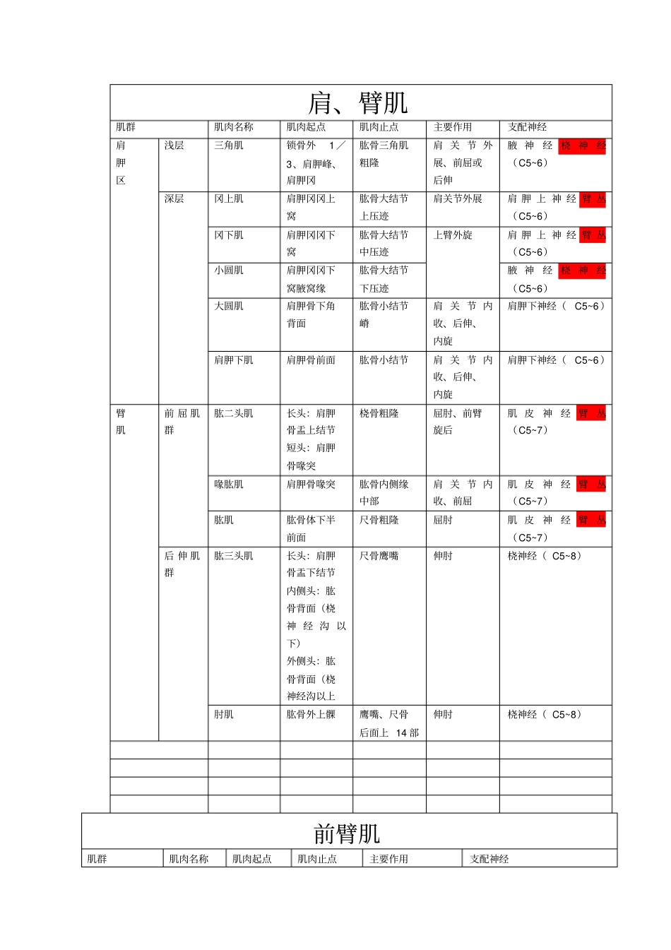 上肢肌肉分布、神经支配_第1页