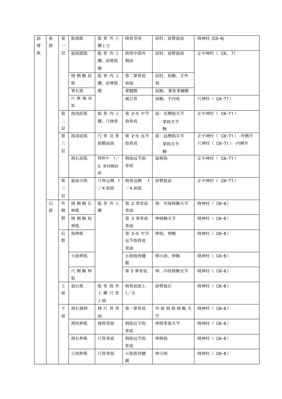 上肢肌肉分布、神经支配_第2页