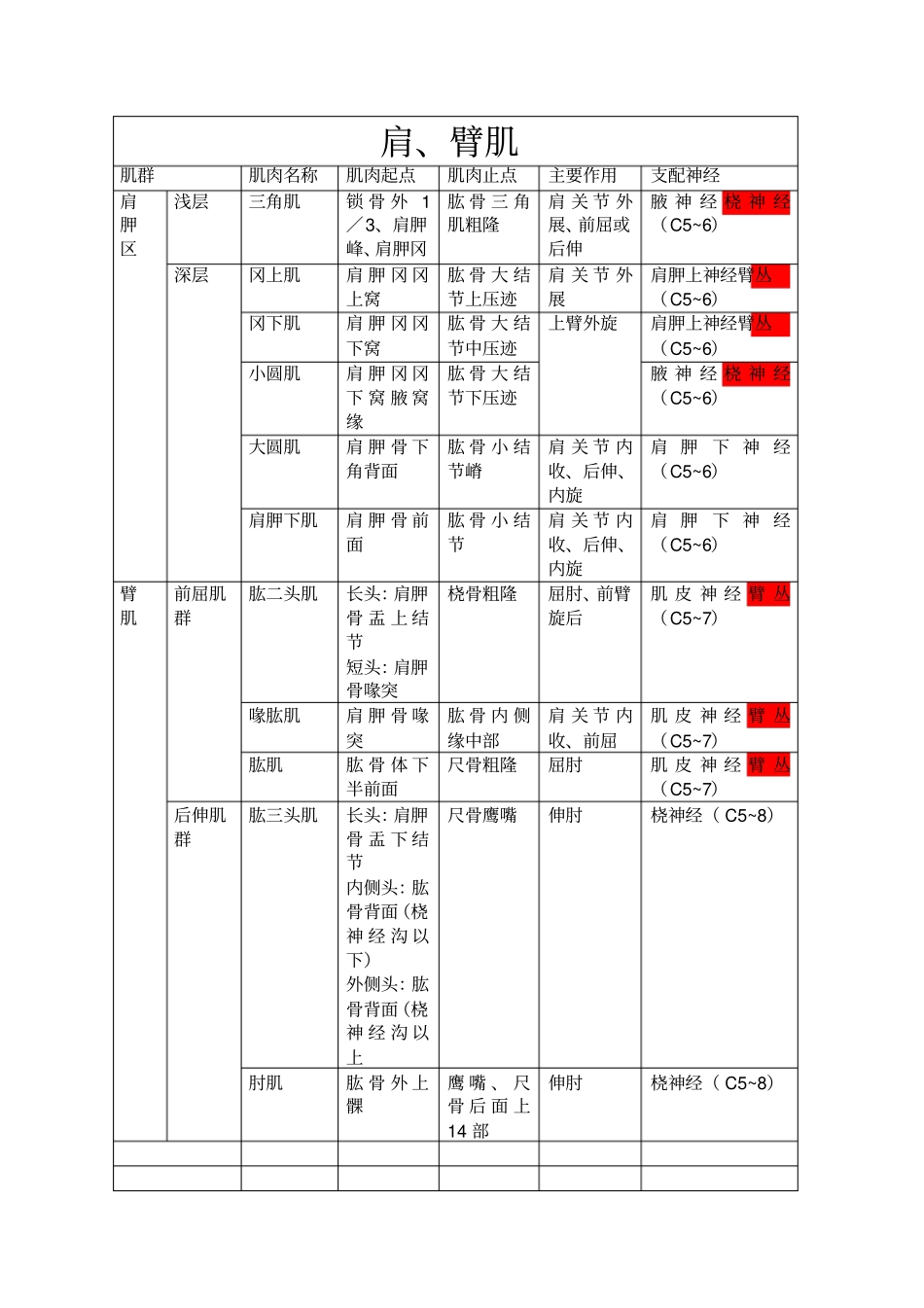 上肢肌肉分布神经支配_第1页