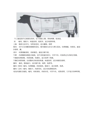 上脑是哪个部位