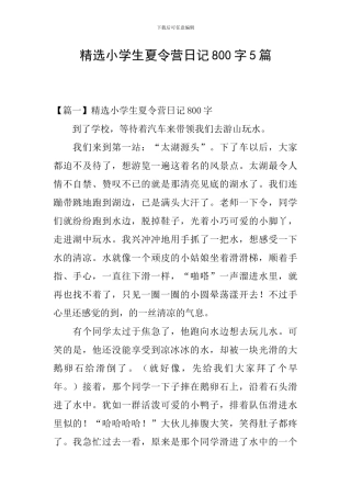 精选小学生夏令营日记800字5篇