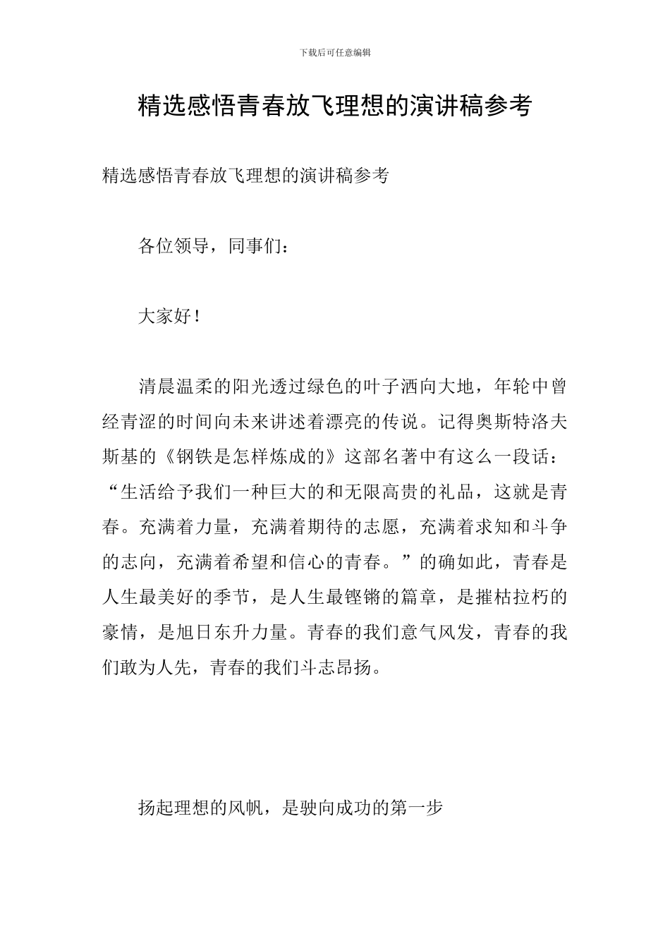 精选感悟青春放飞理想的演讲稿参考_第1页