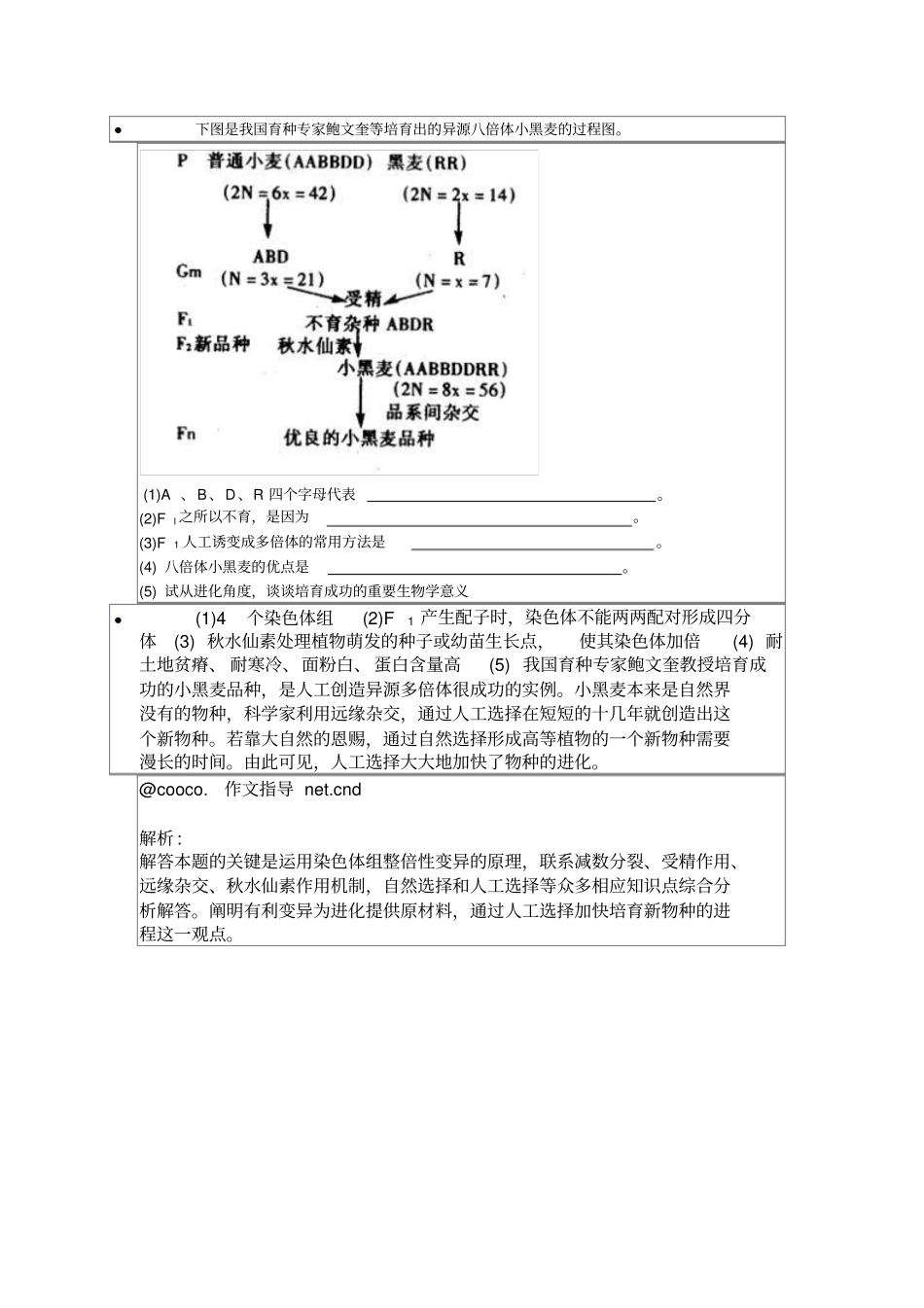 下面是八倍体小黑麦培育过程_第2页