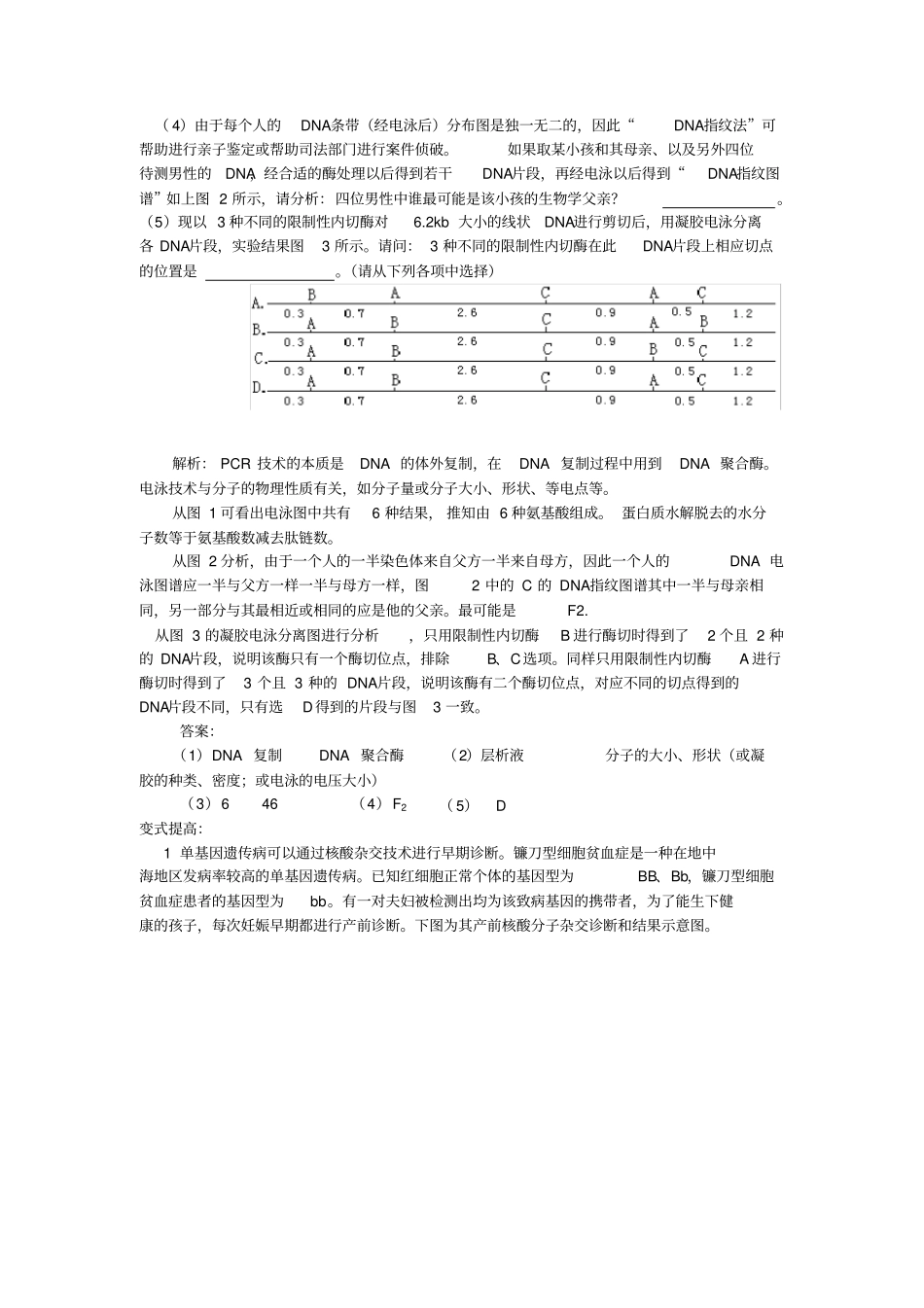 与凝胶电泳有关的生物学试题例析_第2页