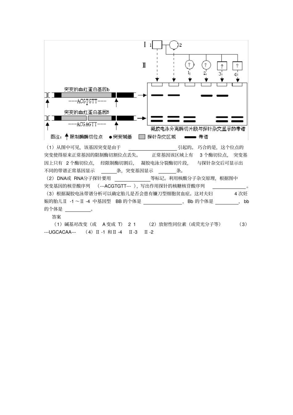 与凝胶电泳有关的生物学试题例析_第3页