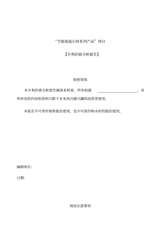 专利可行性报告