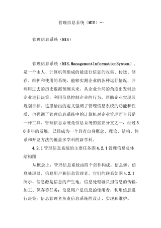 管理信息系统(MIS)...