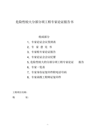 专家论证报告书