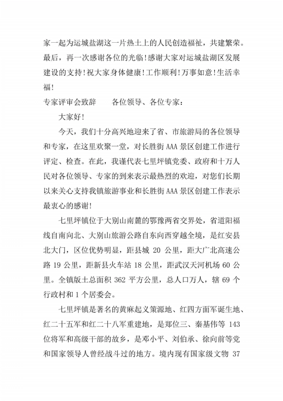 专家评审会致辞_第3页