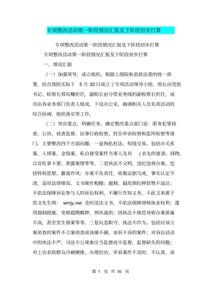 专项整改活动第一阶段情况汇报及下阶段初步打算【可编辑版】
