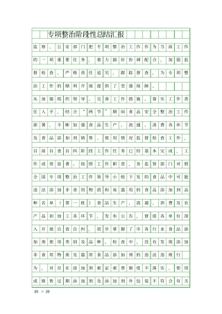 专项整治阶段性总结汇报精品工作报告