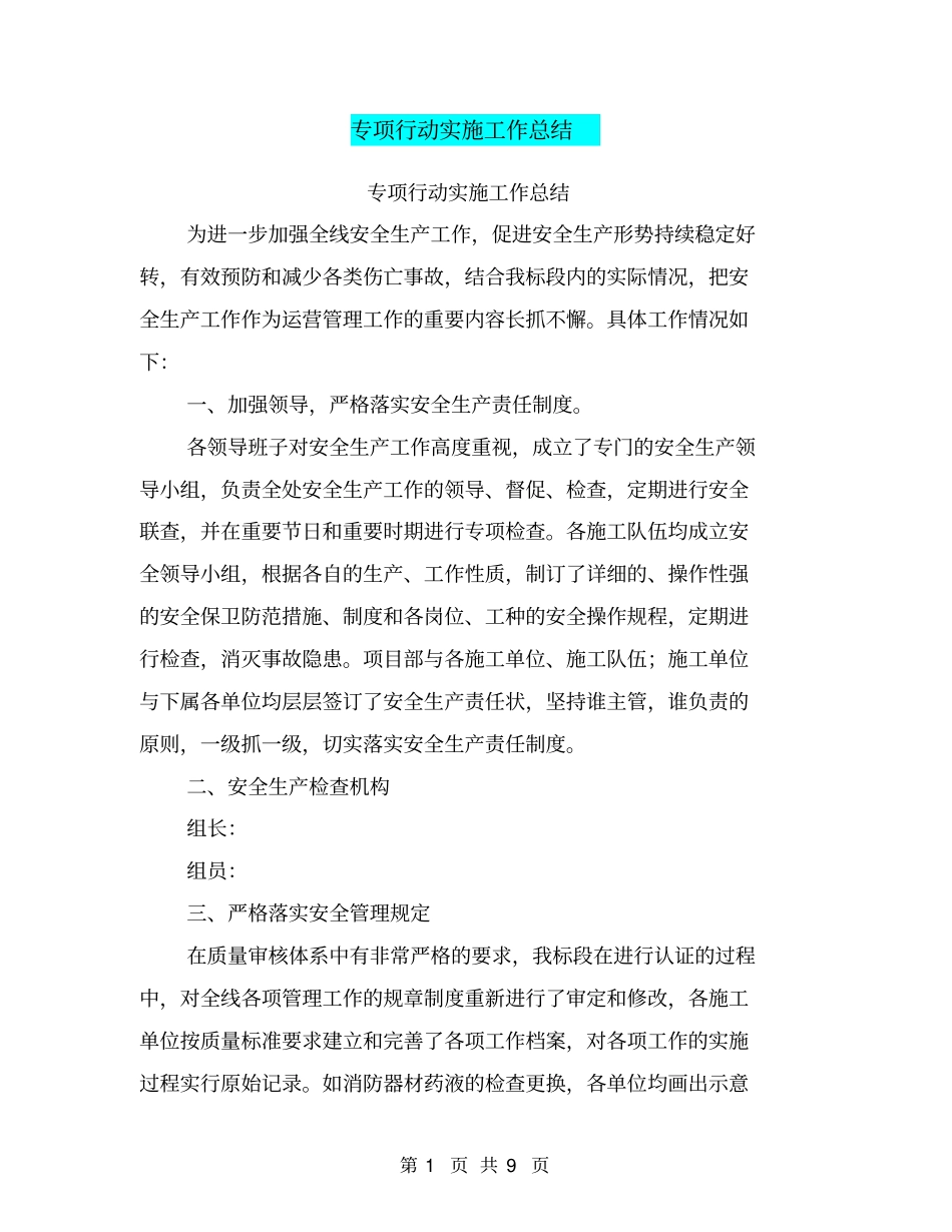 专项行动实施工作总结【可编辑版】_第1页