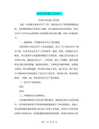 专项行动实施工作总结【可编辑版】