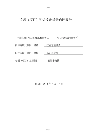专项项目资金支出绩效自评报告