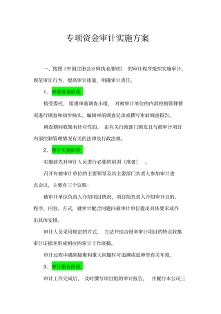 专项资金审计实施方案