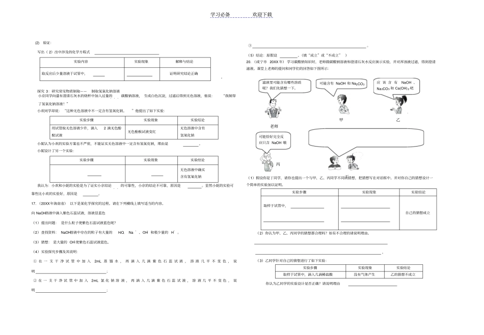 专题-科学探究题初中化学_第2页
