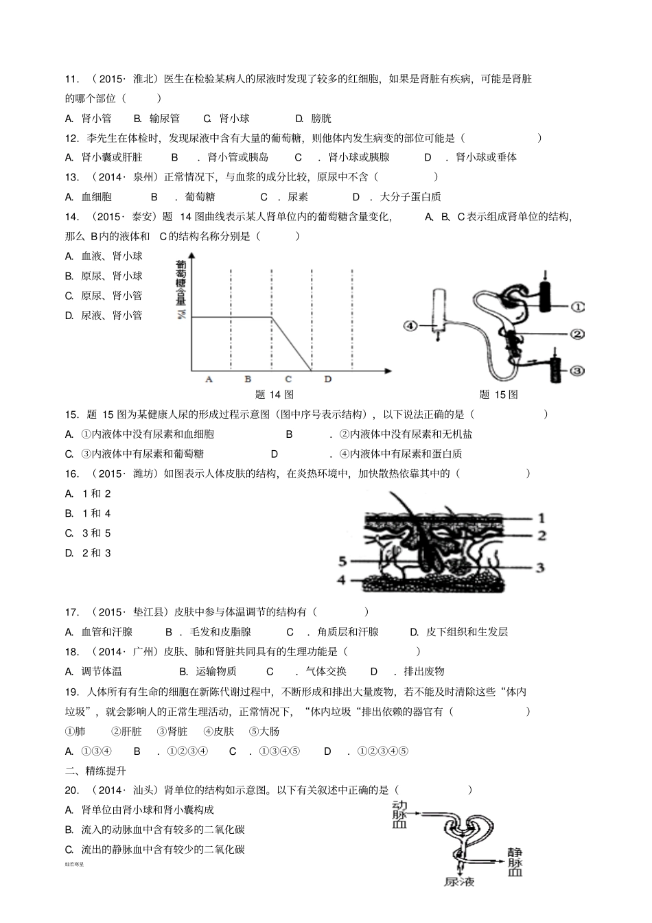 专题5人体代谢废物的排出泌尿系统_第2页