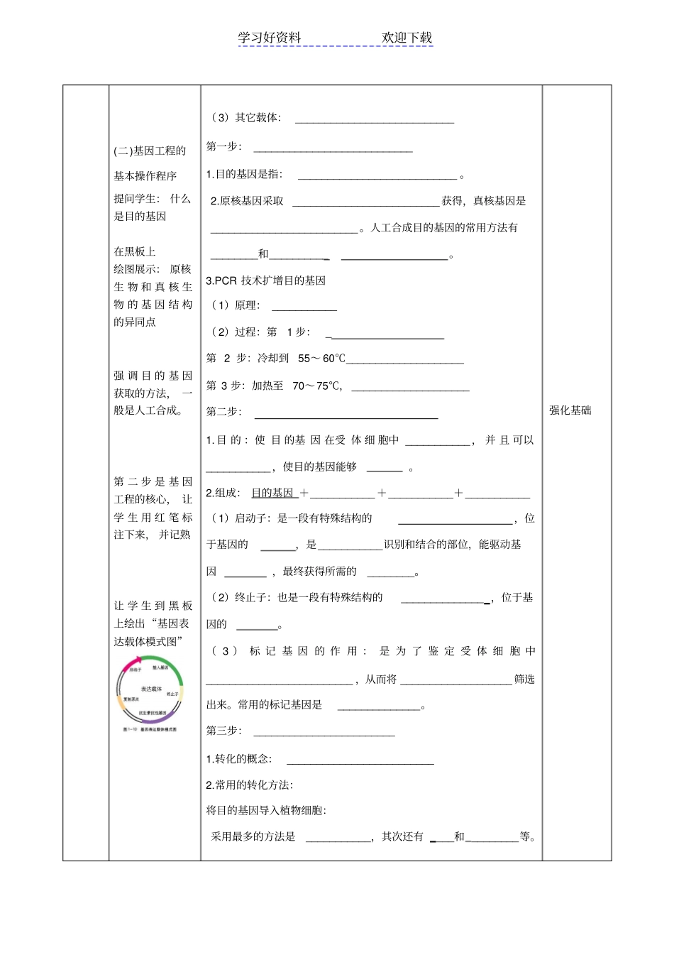 专题一基因工程复习教学设计_第3页