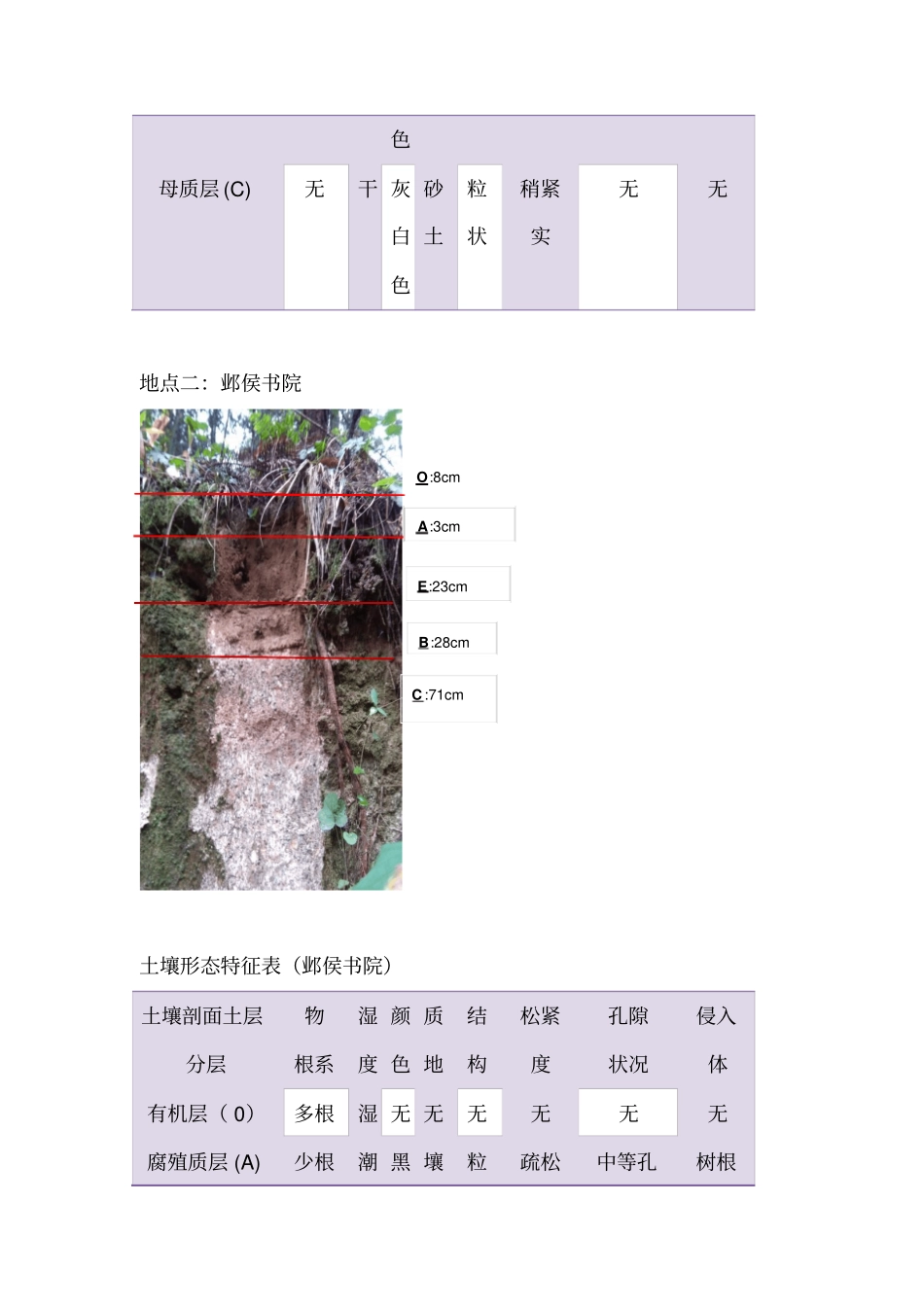 专题一土壤剖面与垂直分布规律调查汇总_第3页