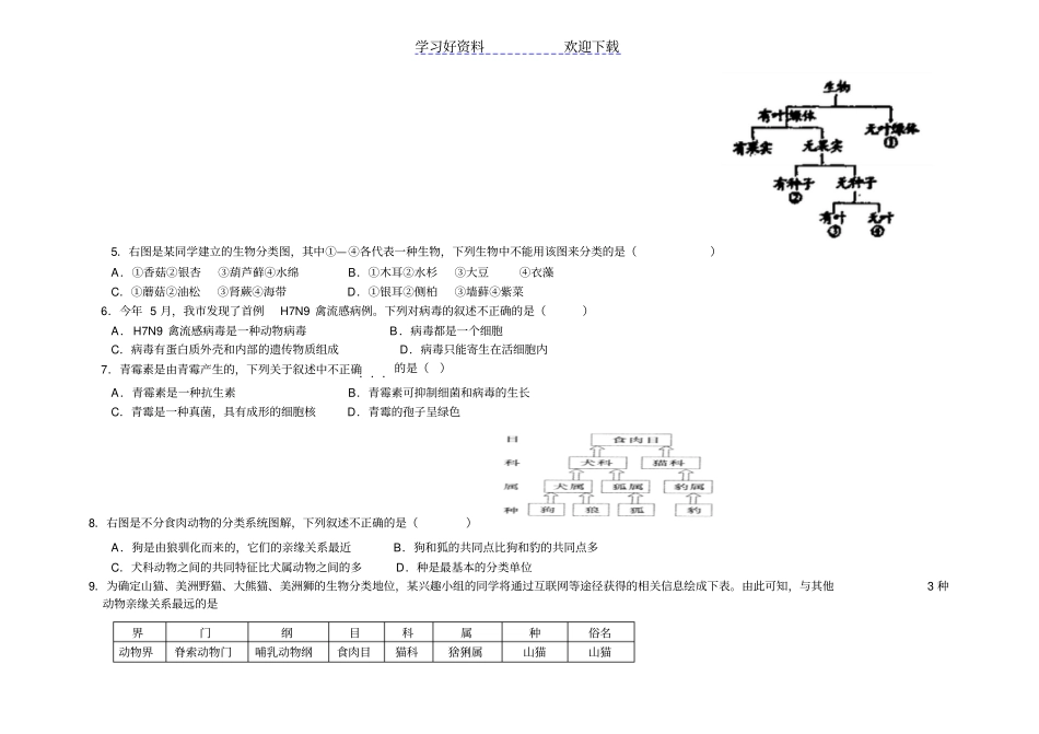 专题复习生物的多样性_第3页
