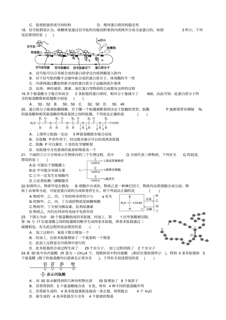 专题训练一蛋白质的结构和功能汇总_第3页