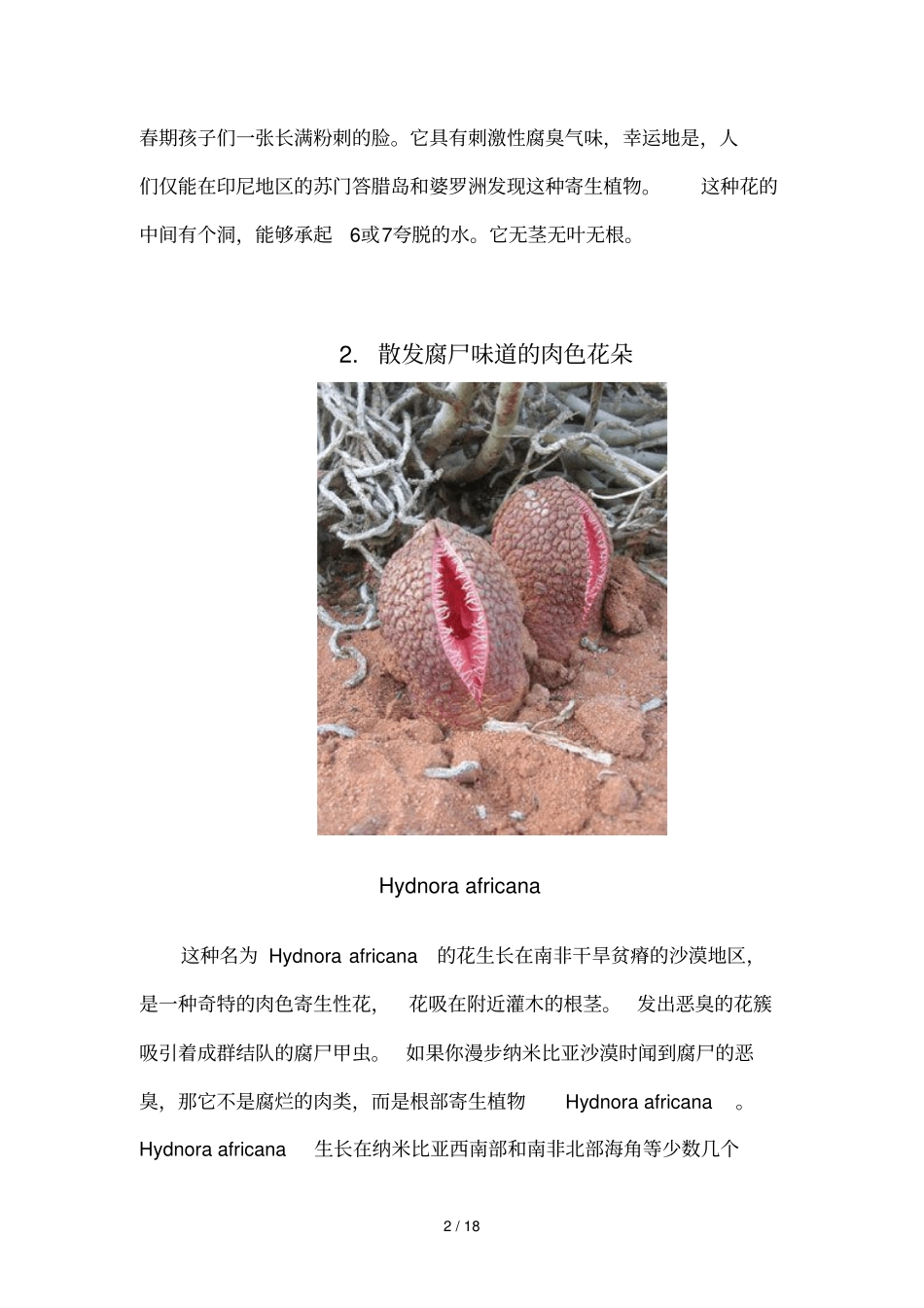 世界上奇特的种植物_第2页