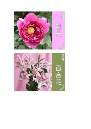 世界各国的国花