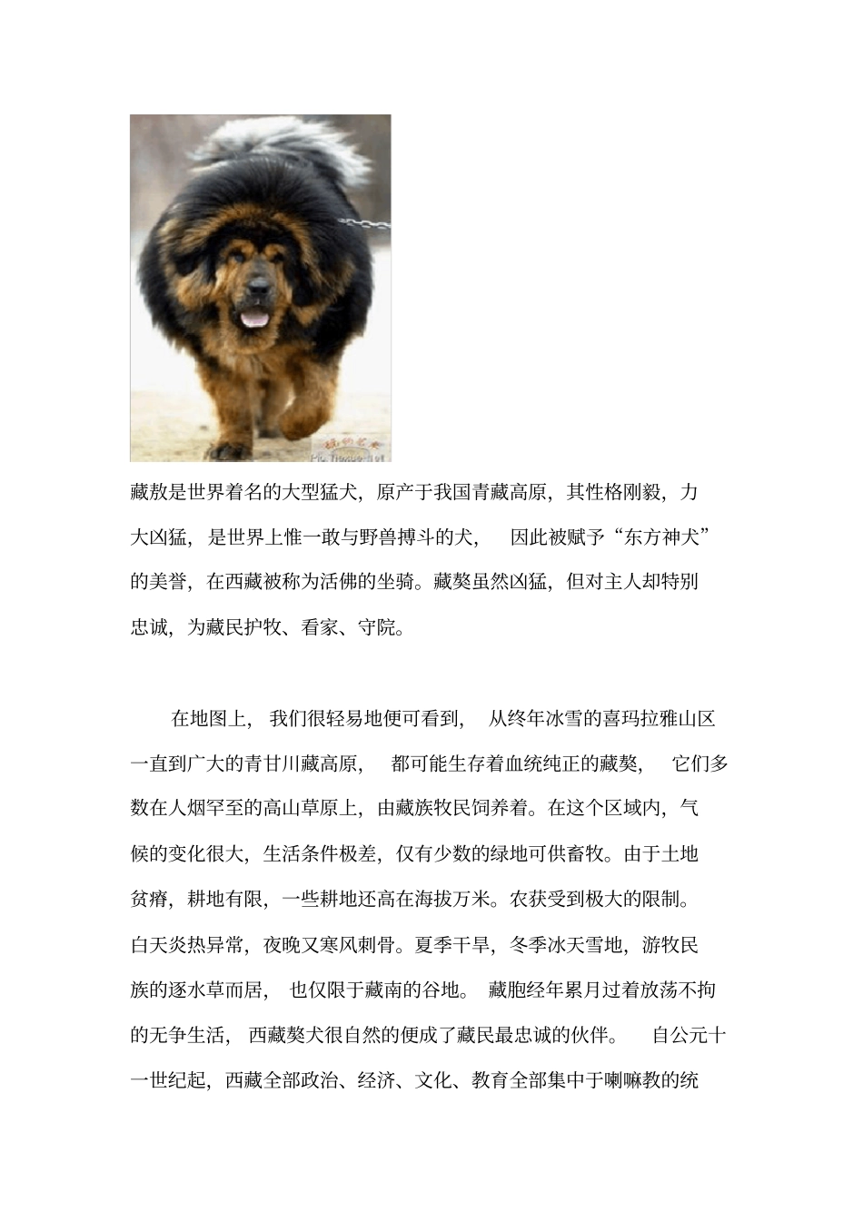 世界名犬大全_第1页