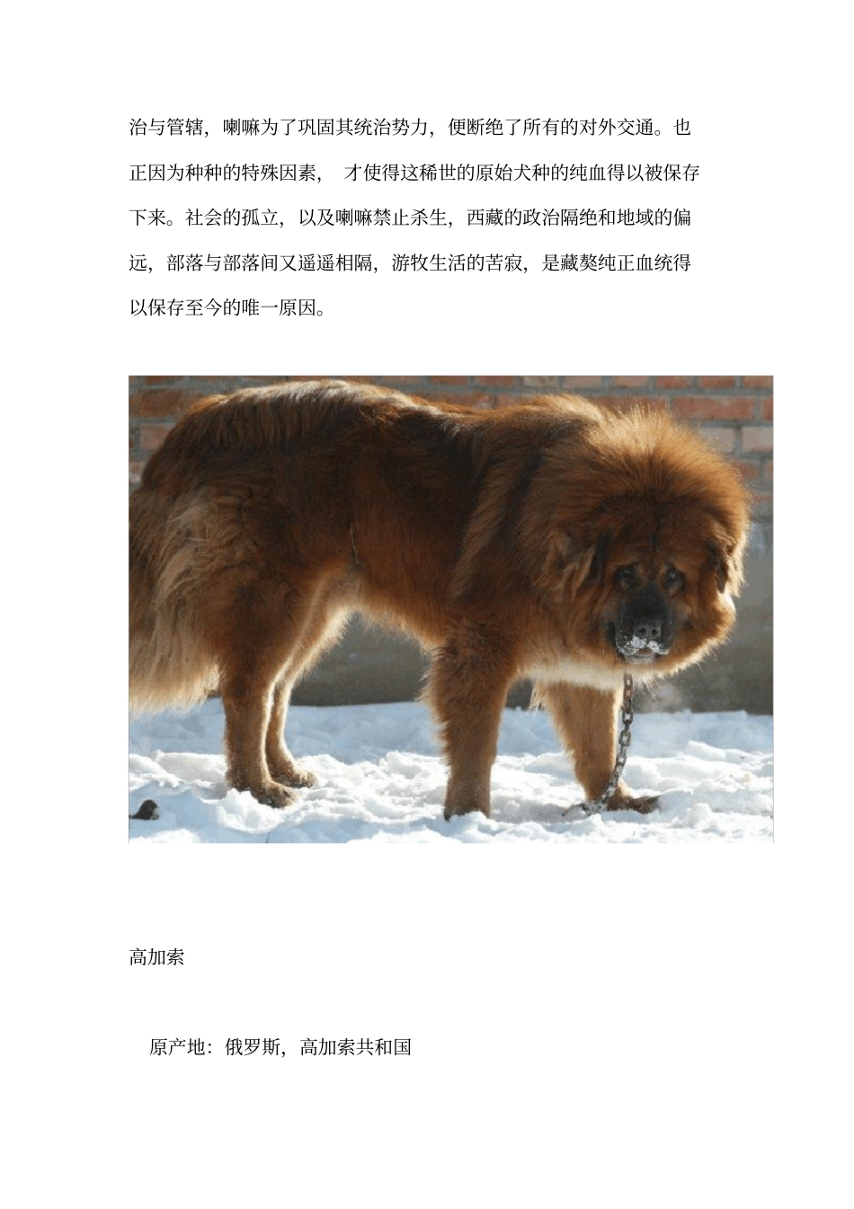 世界名犬大全_第2页