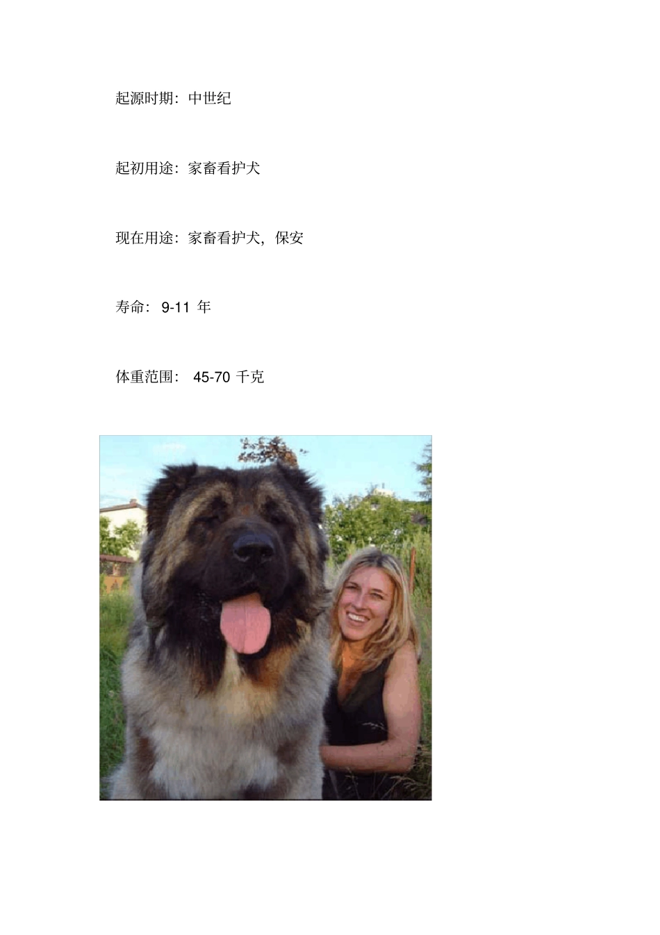 世界名犬大全_第3页