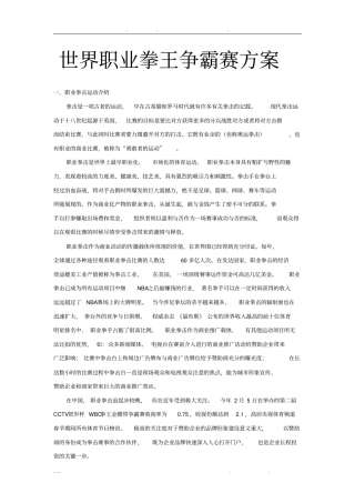 世界职业拳王争霸赛方案