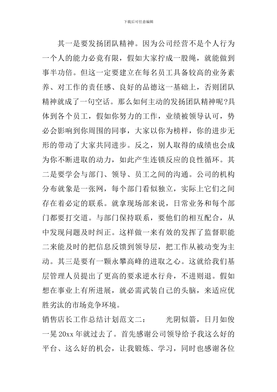 销售店长工作总结计划_第3页