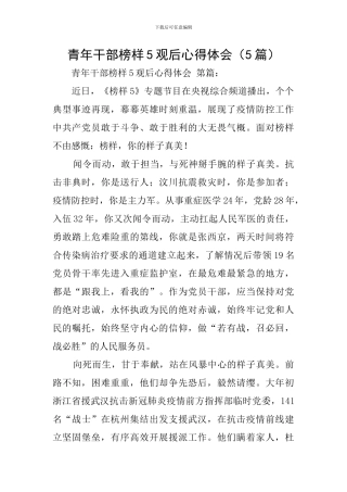 青年干部榜样5观后心得体会