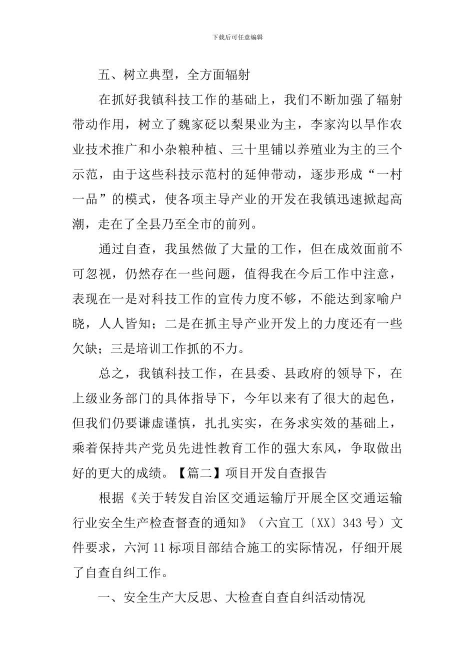 项目开发自查报告_第3页