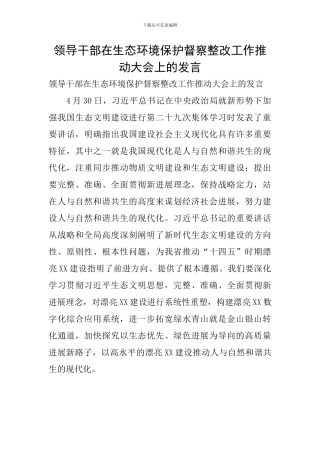 领导干部在生态环境保护督察整改工作推进大会上的发言