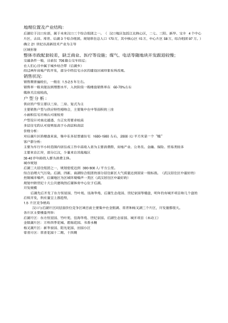 世联新地花都策划报告