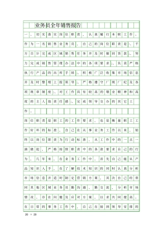 业务员全年销售报告精品工作报告
