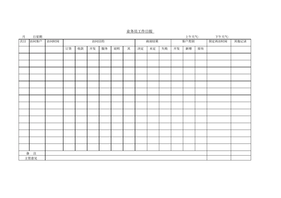 业务员工作日报模板_第1页