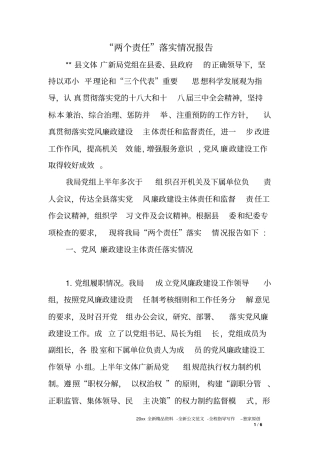 两个责任落实情况报告