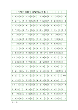 两个责任落实情况汇报精品工作报告