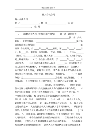 两人合伙合同-精品文案范文
